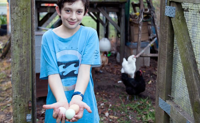 Berry Country Holiday House